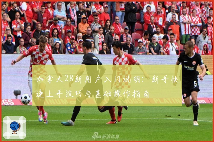 加拿大28新用户入门说明:新手快速上手技巧与基础操作指南