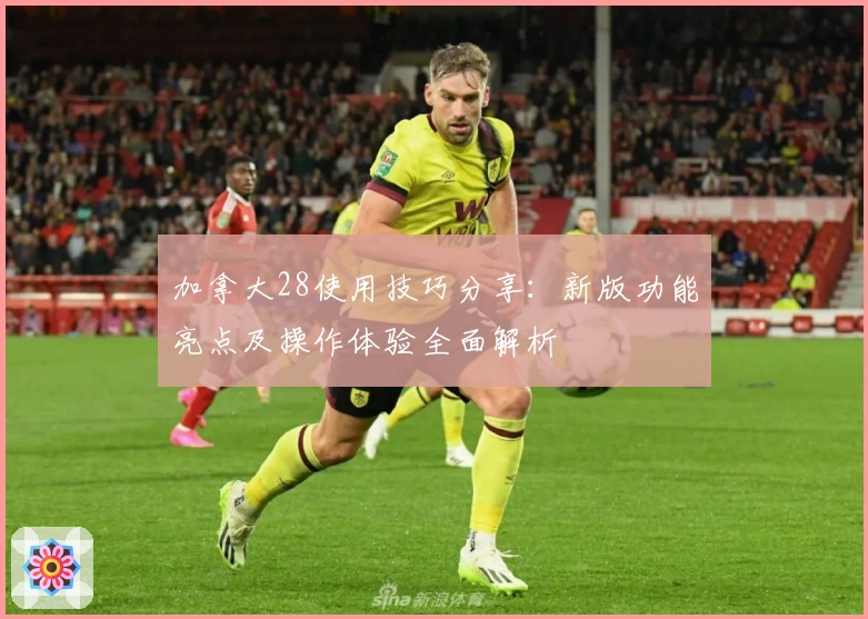加拿大28使用技巧分享：新版功能亮点及操作体验全面解析
