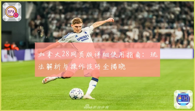 加拿大28网页版详细使用指南：玩法解析与操作技巧全揭晓