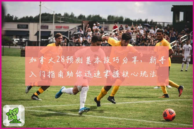 加拿大28预测基本技巧分享，新手入门指南助你迅速掌握核心玩法