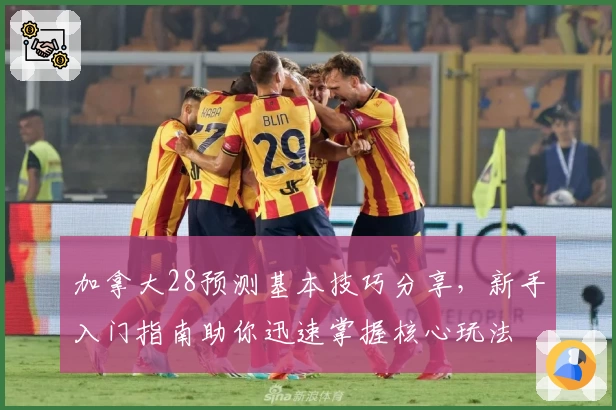 加拿大28预测基本技巧分享,新手入门指南助你迅速掌握核心玩法