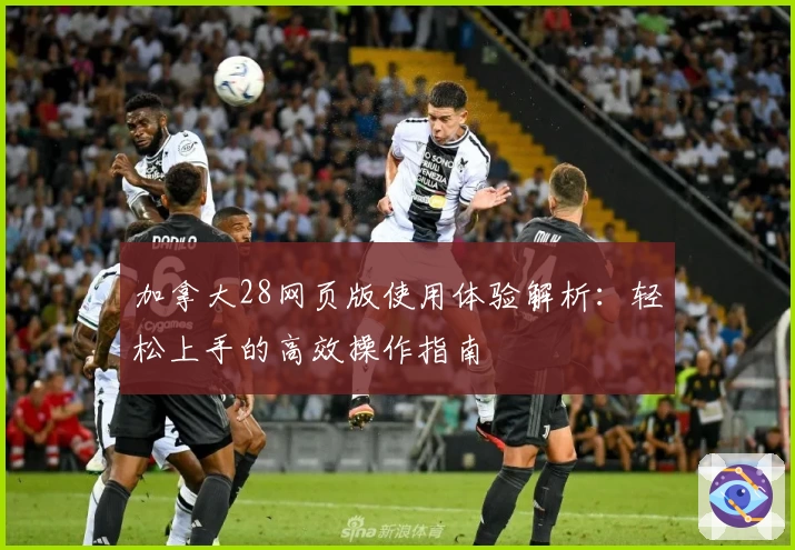 加拿大28网页版使用体验解析：轻松上手的高效操作指南