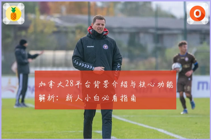 加拿大28平台背景介绍与核心功能解析：新人小白必看指南