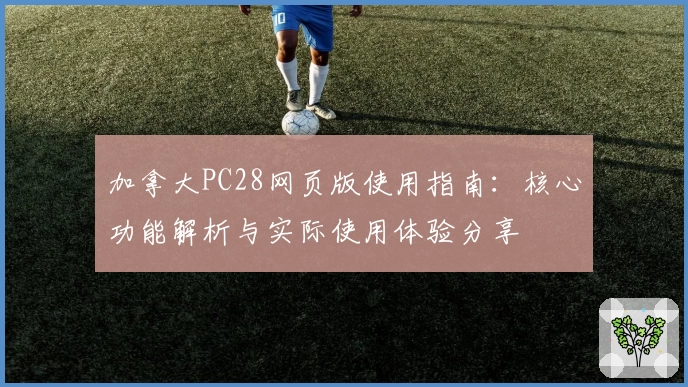 加拿大PC28网页版使用指南：核心功能解析与实际使用体验分享