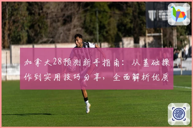 加拿大28预测新手指南：从基础操作到实用技巧分享，全面解析优质使用体验