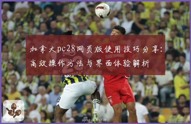 加拿大pc28网页版使用技巧分享：高效操作方法与界面体验解析