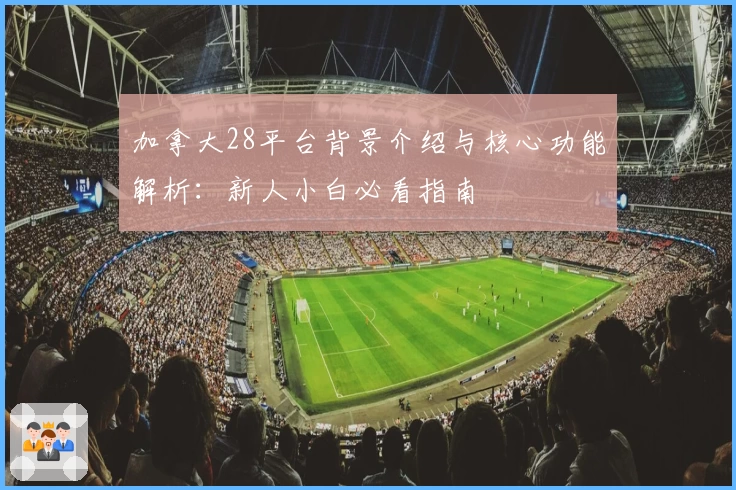 加拿大28平台背景介绍与核心功能解析：新人小白必看指南