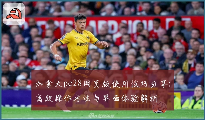 加拿大pc28网页版使用技巧分享：高效操作方法与界面体验解析